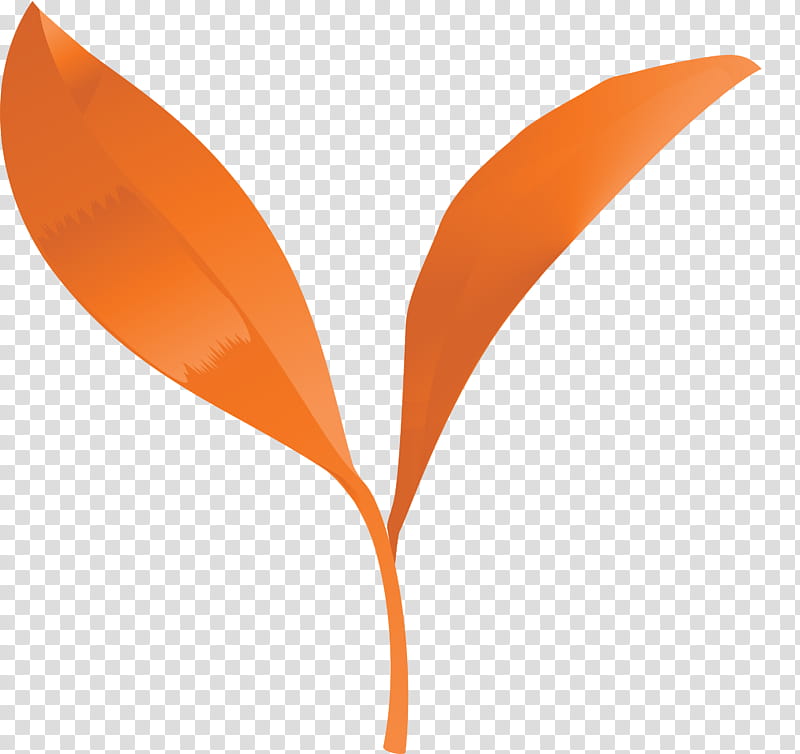 tea leaves leaf spring, Spring
, Orange, Plant, Flower, Logo transparent background PNG clipart