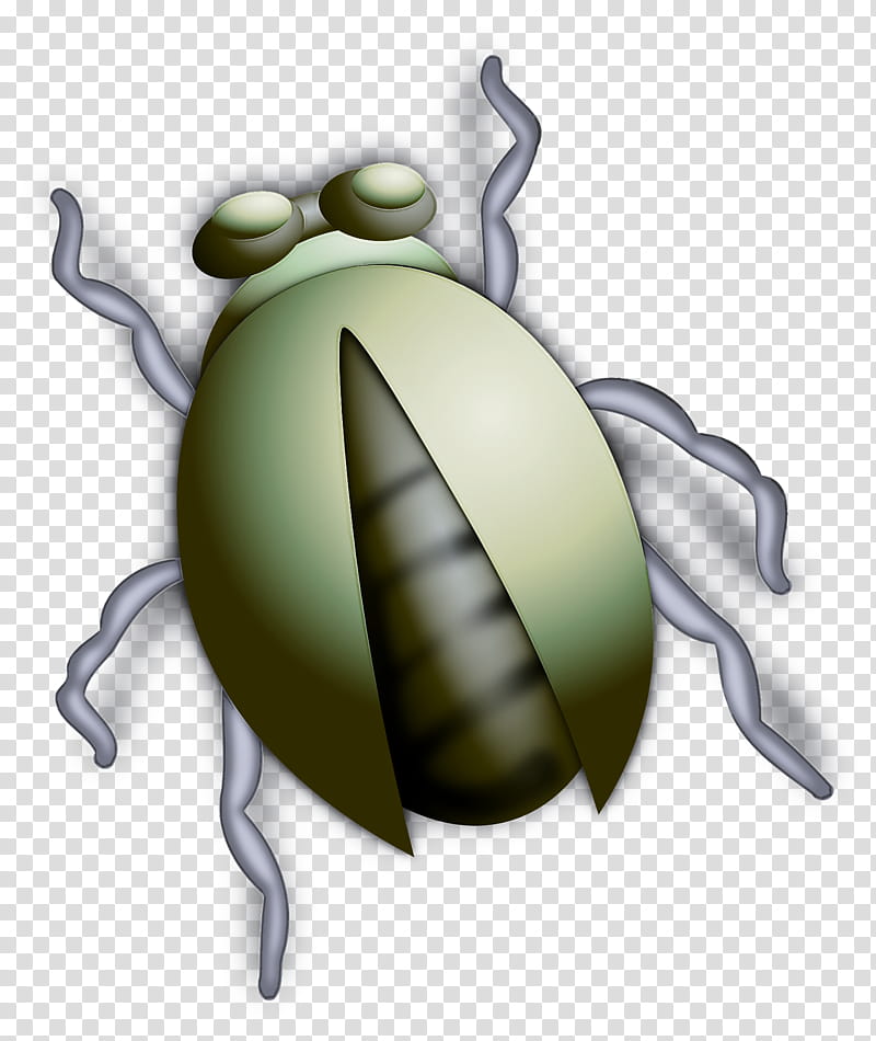 insect cartoon pest membrane-winged insect, Membranewinged Insect transparent background PNG clipart
