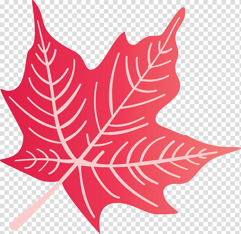 Autumn Leaf Colourful Foliage Colorful Leaves, COLORFUL LEAF, Maple Leaf, Line, Flower, Plants, Biology, Plant Structure transparent background PNG clipart