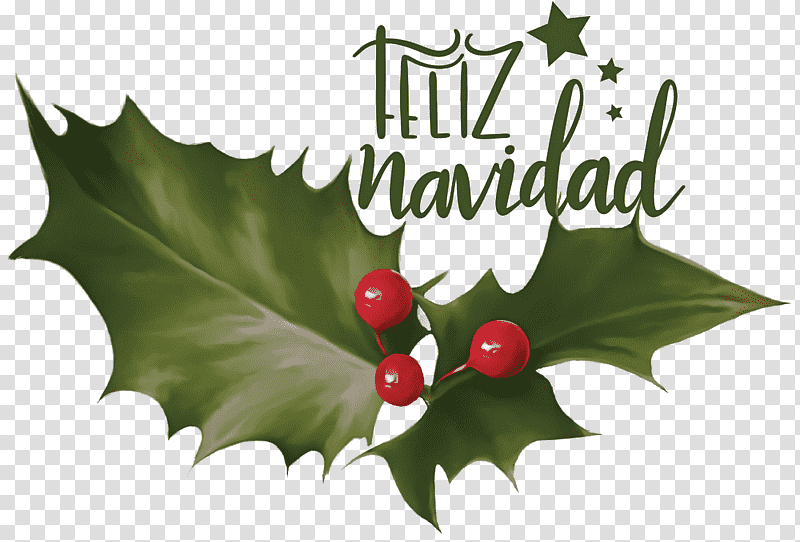 Feliz Navidad Merry Christmas, Poinsettia, Christmas Day, Joulukukka, Christmas Tree, Garland, Christmas Plants transparent background PNG clipart