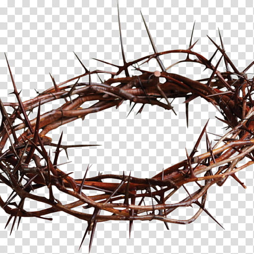 Christian Cross, Crown Of Thorns, Christianity, Thorns Spines And Prickles, Messiah, Sayings Of Jesus On The Cross, Good Friday, Matthew 27 transparent background PNG clipart