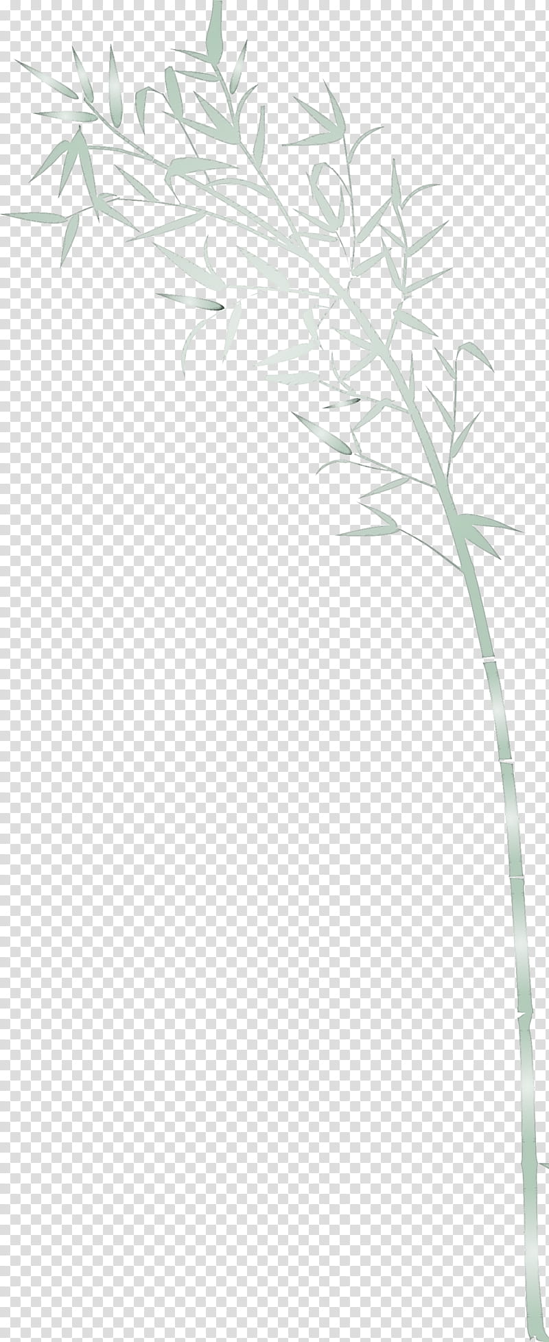 bamboo leaf, Plant, Grass Family, Plant Stem, Twig, Tree, Branch, Flower transparent background PNG clipart