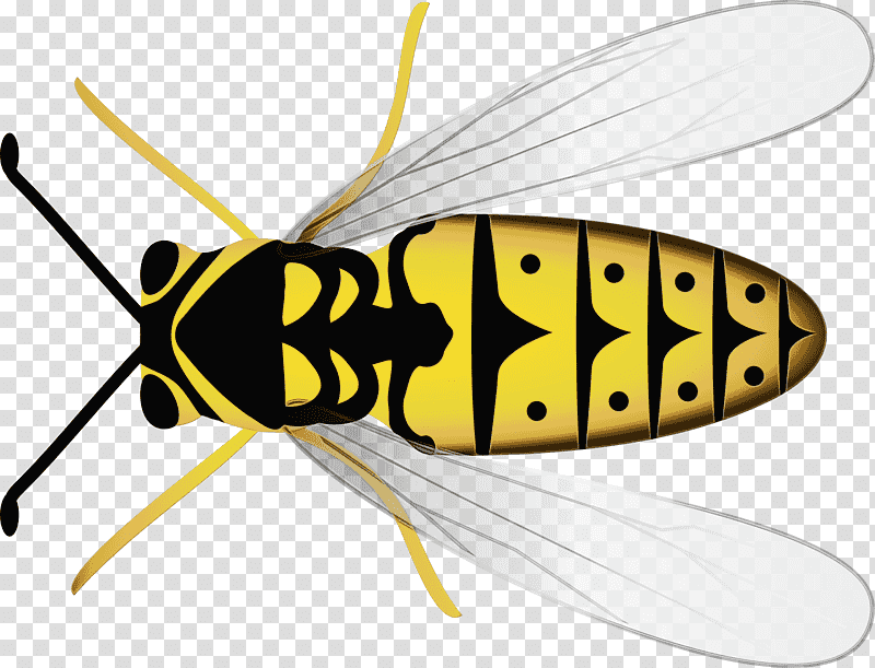 fly bees pollinator wasp stx eu.tm energy nr dl, Watercolor, Paint, Wet Ink, Stx Eutm Energy Nr Dl transparent background PNG clipart
