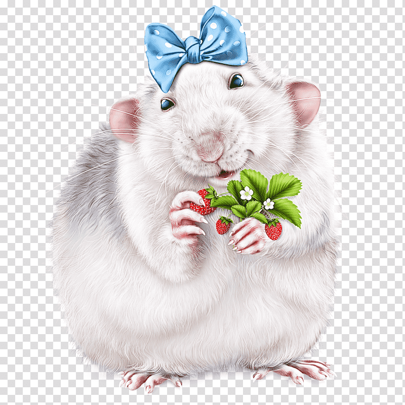 hamsters rodents computer mouse whiskers mongolian gerbil, Mad Catz Rat M, Pest transparent background PNG clipart