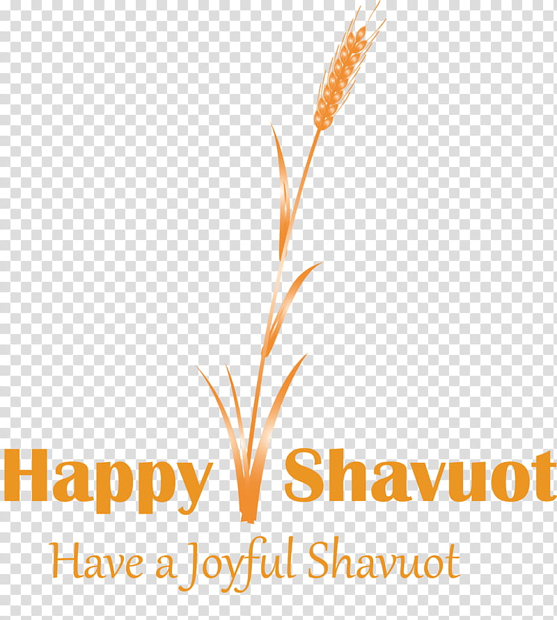 Happy Shavuot Shavuot Shovuos, Text, Orange, Grass Family, Logo, Line, Plant transparent background PNG clipart