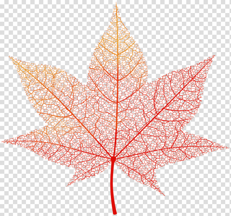 autumn leaf autumn leaf color bee path autumn, Watercolor, Paint, Wet Ink, Autumn, Cartoon, Leaf transparent background PNG clipart