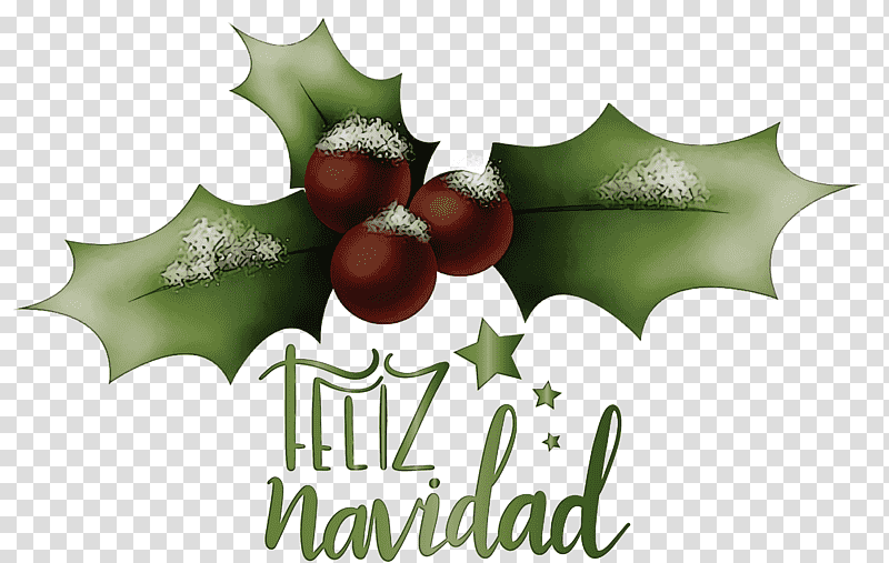 Feliz Navidad Merry Christmas, Chicken, Leaf, Christmas Day, Common Holly, Aquifoliales, Chicken Coop transparent background PNG clipart
