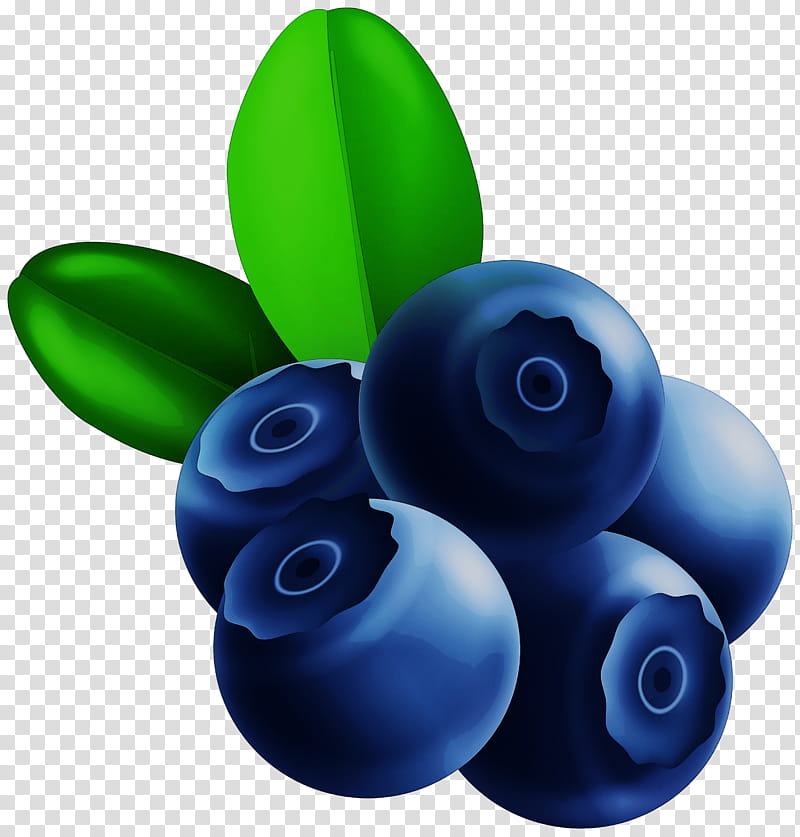 blue berry fruit bilberry plant, Blueberry transparent background PNG clipart
