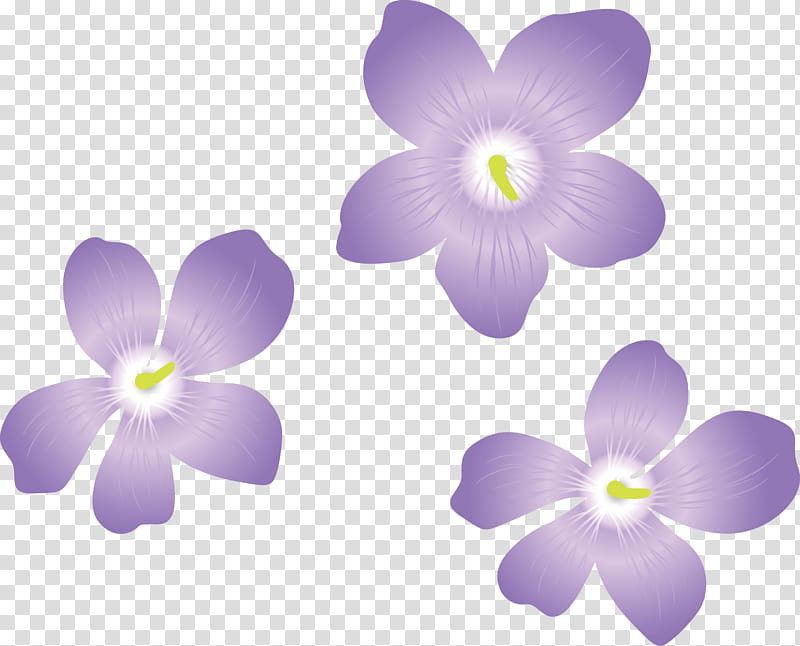 violet flower, Petal, Lavender, Computer, Violaceae, Plants, Science, Biology transparent background PNG clipart