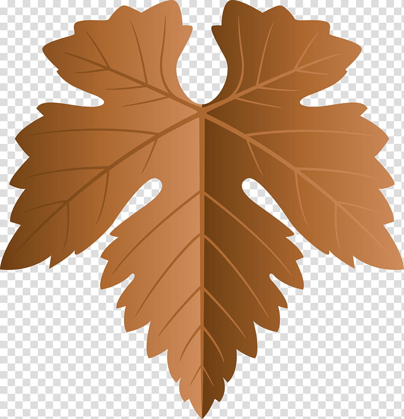 Grapes Leaf leaf, Tree, Maple Leaf, Plant, Grape Leaves, Plane, Woody Plant, Black Maple transparent background PNG clipart