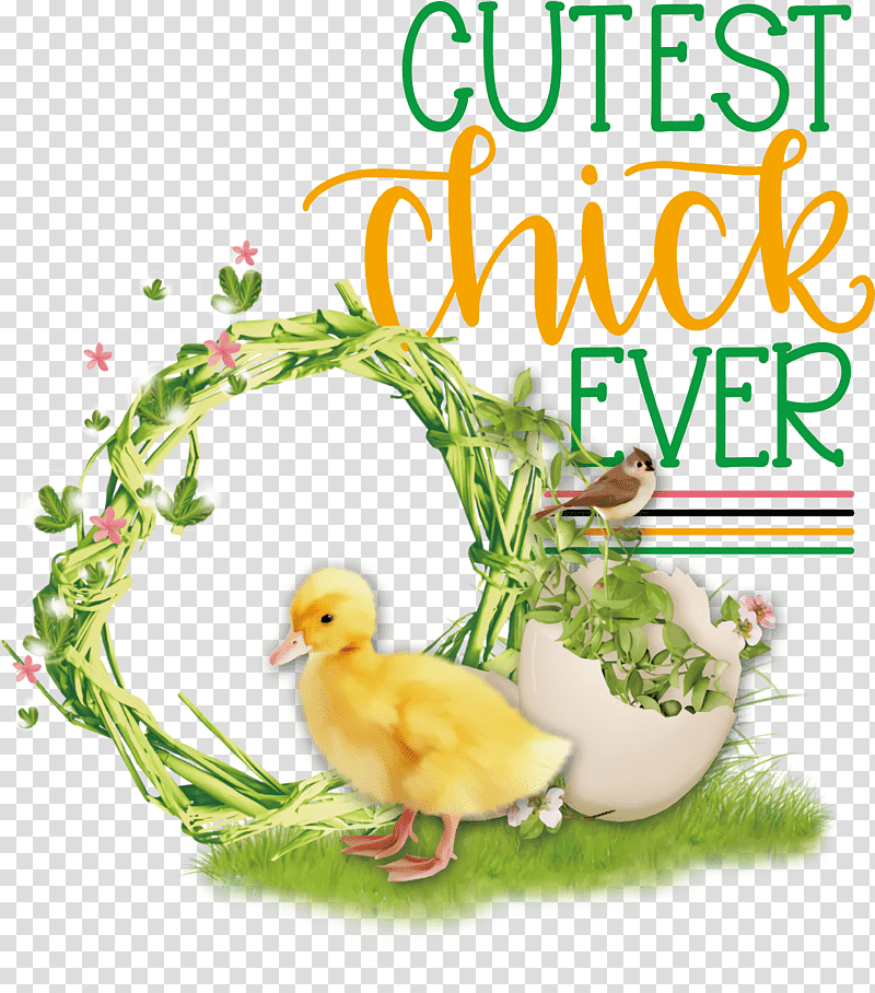 Happy Easter Cutest Chick Ever, Chicken, Drawing, Cartoon, Visual Arts, Painting, Red Junglefowl transparent background PNG clipart