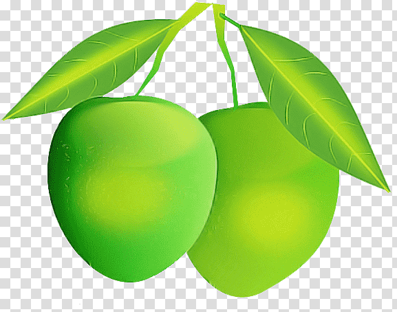 Mango, Mangifera Indica, Fruit, Cartoon, Kiwi, Citrus, Animation transparent background PNG clipart