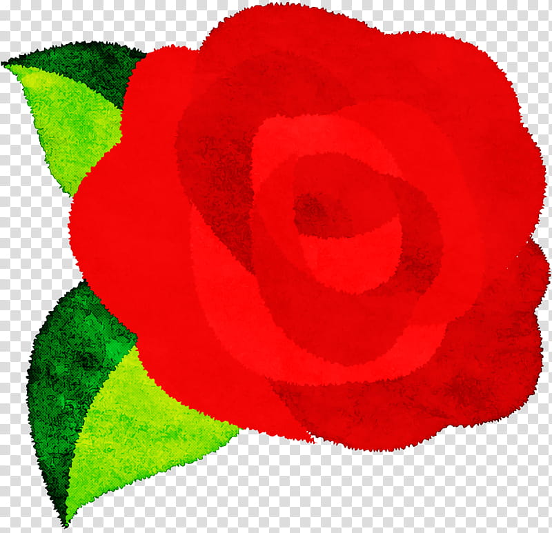 Garden roses, Flower, Rainbow Rose, Cut Flowers, Flower Bouquet, Violet, Color, Petal transparent background PNG clipart