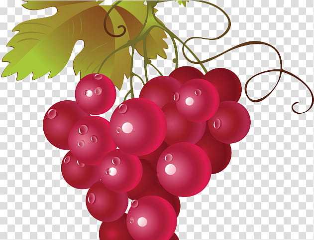Pink Flower, Common Grape Vine, Red Wine, Concord Grape, Muscadine, Food, Berries, Grape Leaves transparent background PNG clipart