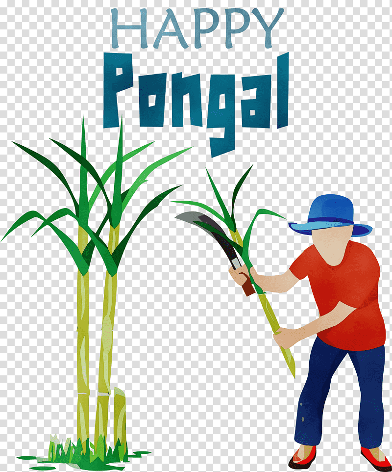 sugarcane tree plants grasses, St Andrews Day, St Nicholas Day, Watch Night, Kartik Purnima, Thaipusam, Milad Un Nabi transparent background PNG clipart