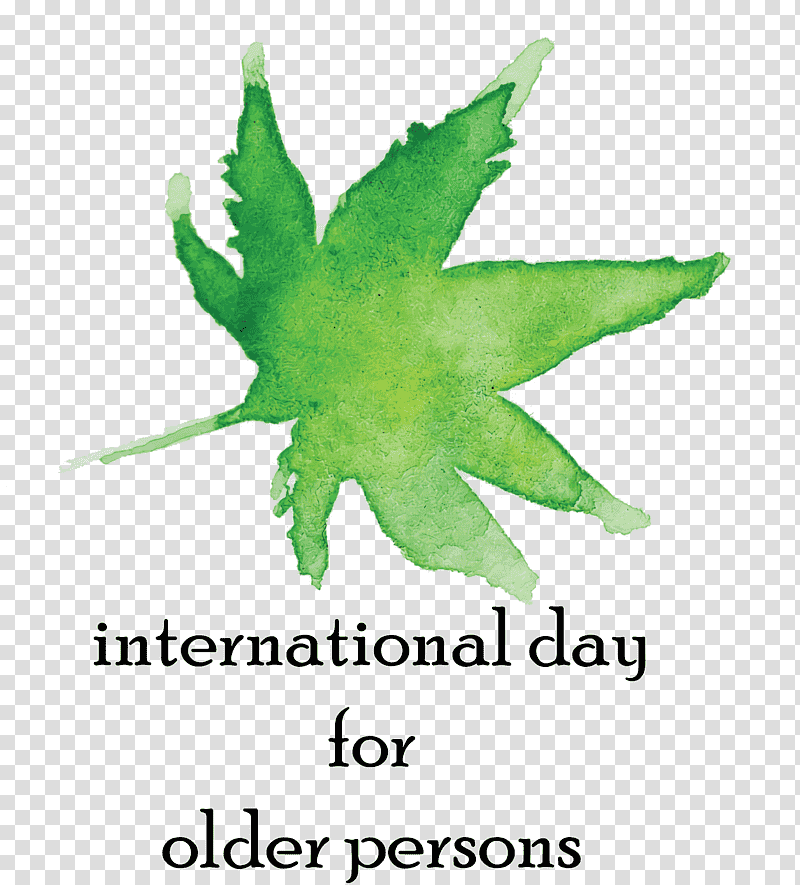 International Day for Older Persons, Leaf, Plant Stem, Green, Tree, Line, Meter transparent background PNG clipart