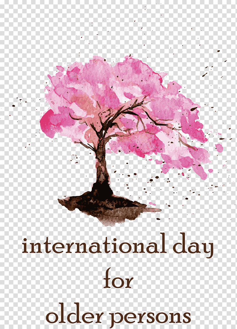International Day for Older Persons, Cherry Blossom, Commedia Dellarte, Floral Design, Comedy, Petal, Stau150 Minvuncnr Ad transparent background PNG clipart
