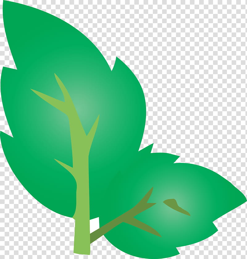 Passover Pesach, Leaf, Green, Plant, Tree, Logo, Symbol transparent background PNG clipart