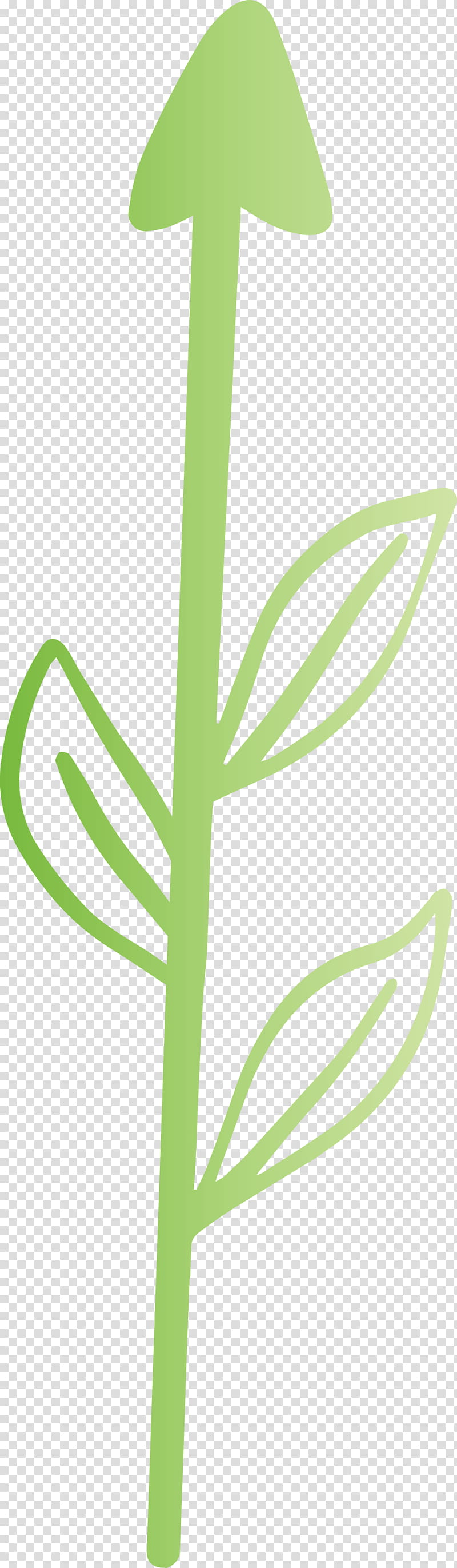 boho arrow Cute Arrow, Leaf, Plant, Grass Family, Flower, Plant Stem transparent background PNG clipart
