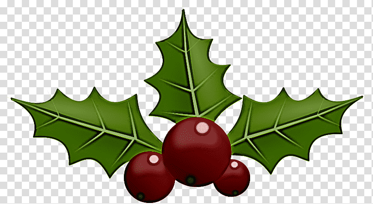 Christmas Day, Common Holly, Leaf, American Holly, Mistletoe, Hollyleaf Cherry, Christmas Tree transparent background PNG clipart