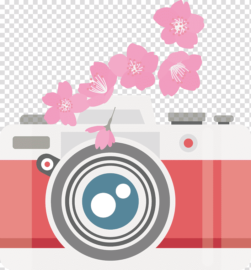 Camera flower, Petal, Meter, Sticker, Circle, Plant, Biology transparent background PNG clipart