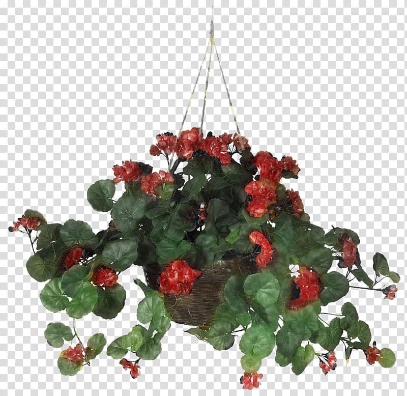 Christmas decoration, Red, Lighting, Flower, Plant, Chandelier, Christmas Tree, Leaf transparent background PNG clipart