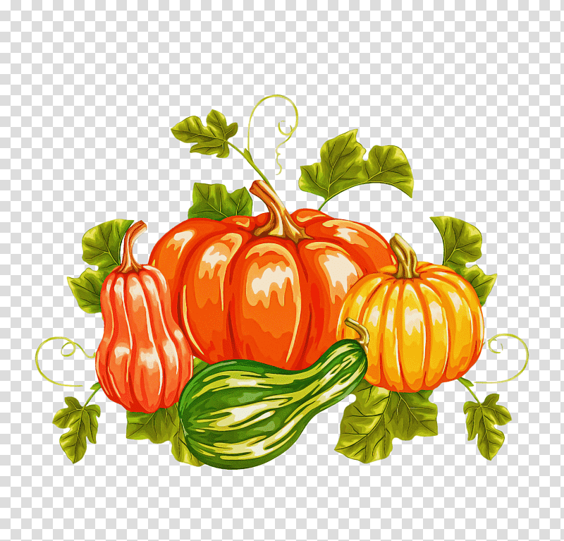Thanksgiving Autumn Harvest, Tomato, Gourd, Squash, Winter Squash, Melon, Natural Foods transparent background PNG clipart