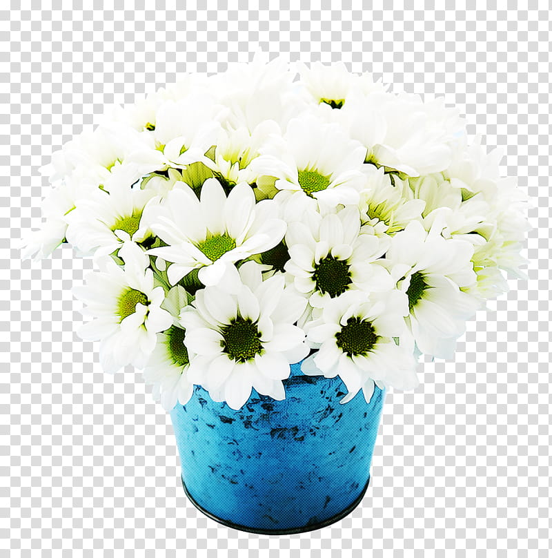 Daisy, Flower, White, Blue, Flowerpot, Bouquet, Plant, Cut Flowers transparent background PNG clipart