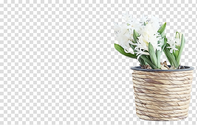 flower flowerpot white plant cut flowers, Spring
, Watercolor, Paint, Wet Ink, Vase, Tulip, Bouquet transparent background PNG clipart