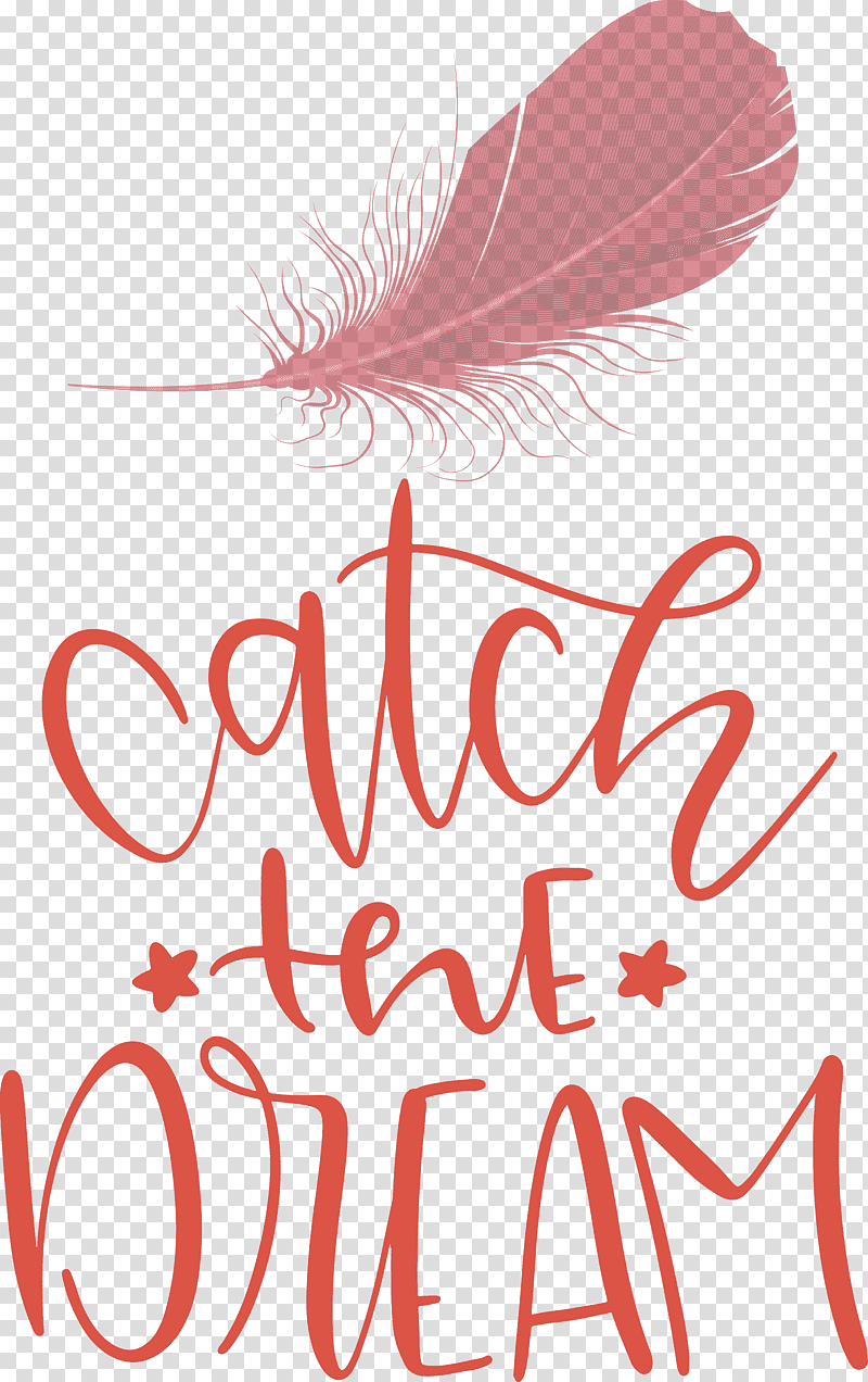 Catch the Dream Dream, Line Art, Petal, Meter, Flower, Feather, Mathematics transparent background PNG clipart