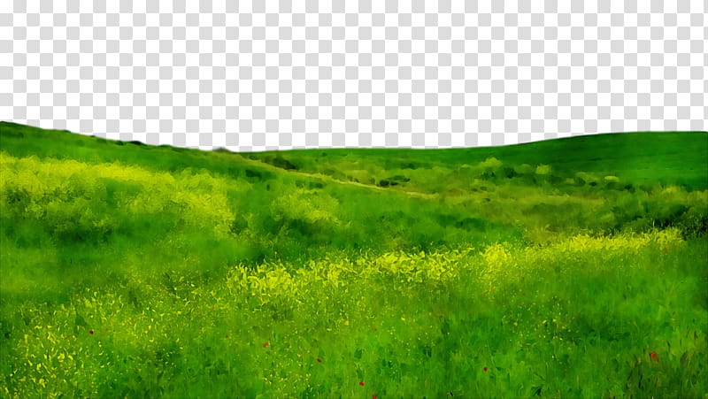 vegetation shrubland steppe grassland ecoregion, Watercolor, Paint, Wet Ink, Land Lot transparent background PNG clipart