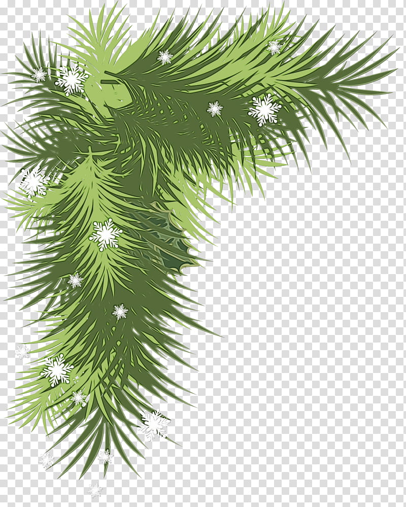 Christmas Black And White, Christmas Day, Conifer Cone, Christmas Decoration, Santa Claus, Branch, Pine, Christmas Tree transparent background PNG clipart