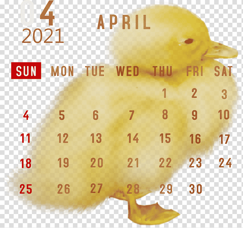 duck htc hero water bird beak birds, April 2021 Printable Calendar, 2021 calendar, Watercolor, Paint, Wet Ink, Yellow transparent background PNG clipart