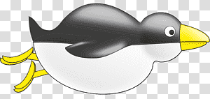 birds penguins duck flightless bird water bird, Watercolor, Paint, Wet Ink, Beak, Animal Figurine,  Cartoon transparent background PNG clipart thumbnail