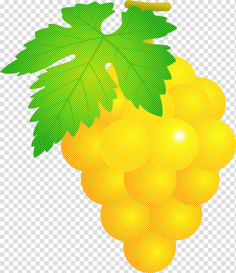 grape grapes fruit, Leaf, Seedless Fruit, Green, Grape Leaves, Grapevine Family, Plant, Yellow transparent background PNG clipart