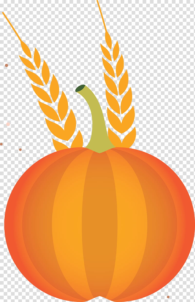 Vegetable Harvest Autumn, Jackolantern, Calabaza, Pumpkin, Winter Squash, Commodity, Apple, Flower transparent background PNG clipart