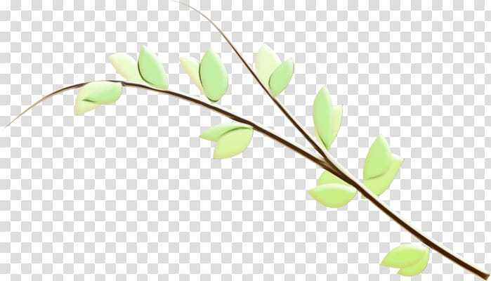 branch flower plant twig leaf, Watercolor, Paint, Wet Ink, Plant Stem, Bud, Pedicel, Mock Orange transparent background PNG clipart