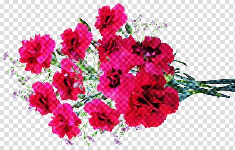 Artificial flower, Plant, Petal, Pink, Cut Flowers, Sweet William, Bouquet, Dianthus transparent background PNG clipart