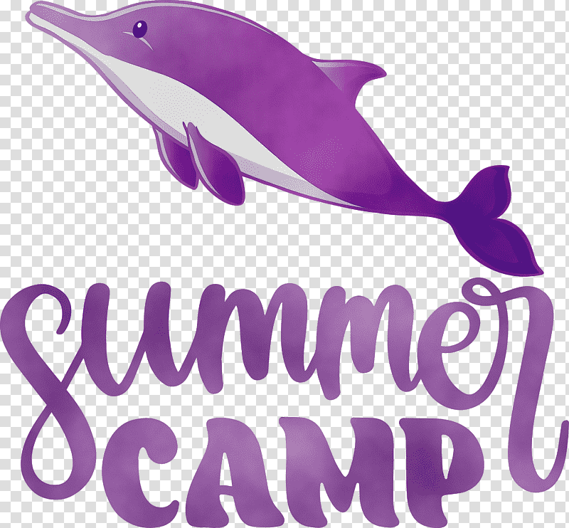 dolphin cetaceans porpoises whales bottlenose dolphin, Summer Camp, Summer
, Watercolor, Paint, Wet Ink, Science transparent background PNG clipart