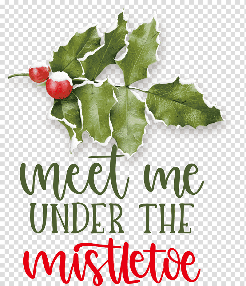 Meet Me Under The Mistletoe Mistletoe, Holly, Aquifoliales, Superfood, Leaf, Natural Food, Meter transparent background PNG clipart