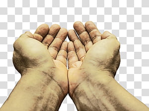 non-governmental organisation nabweru, Watercolor, Paint, Wet Ink, Nongovernmental Organisation, Disco, Organization, Uganda transparent background PNG clipart thumbnail