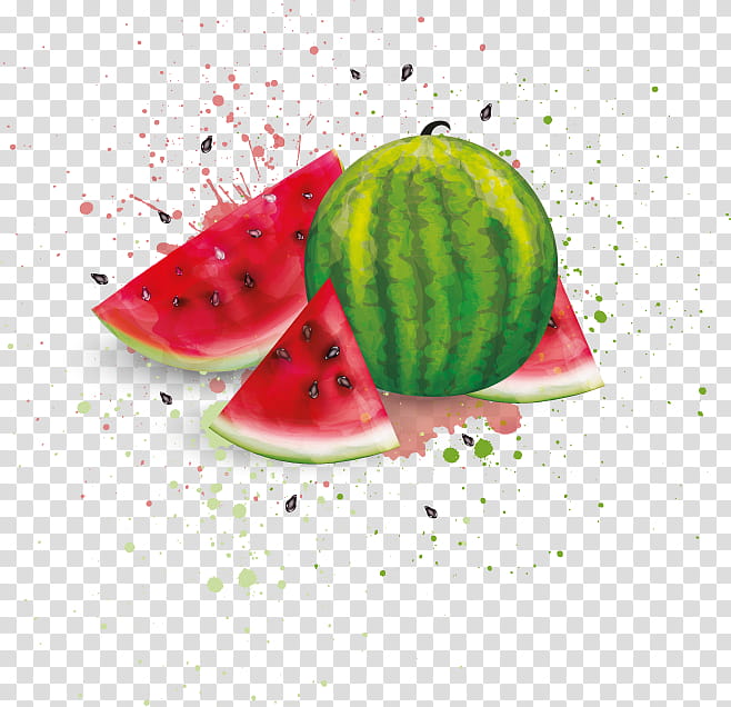 Watermelon, Fruit, Citrullus, Plant, Food, Cucumber Gourd And Melon Family, Seedless Fruit, Still Life transparent background PNG clipart