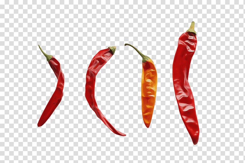 bird's eye chili cayenne pepper malagueta pepper serrano pepper chile de árbol, Birds Eye Chili, Nightshade, Peppers, Tabasco Pepper, Pasilla, Sweet And Chili Peppers transparent background PNG clipart