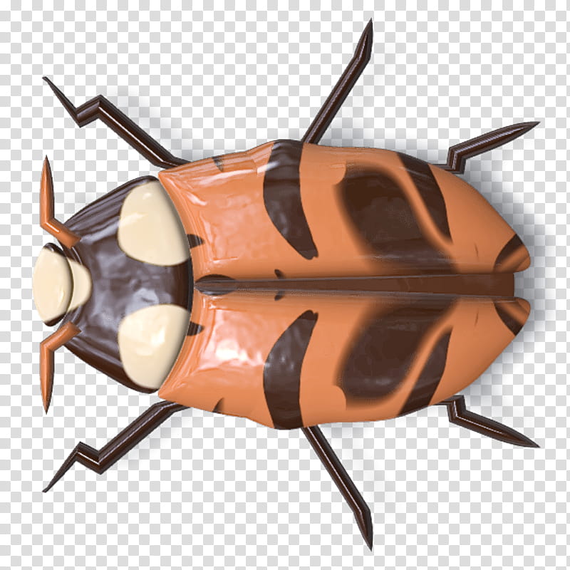 insect cockroach transparent background PNG clipart