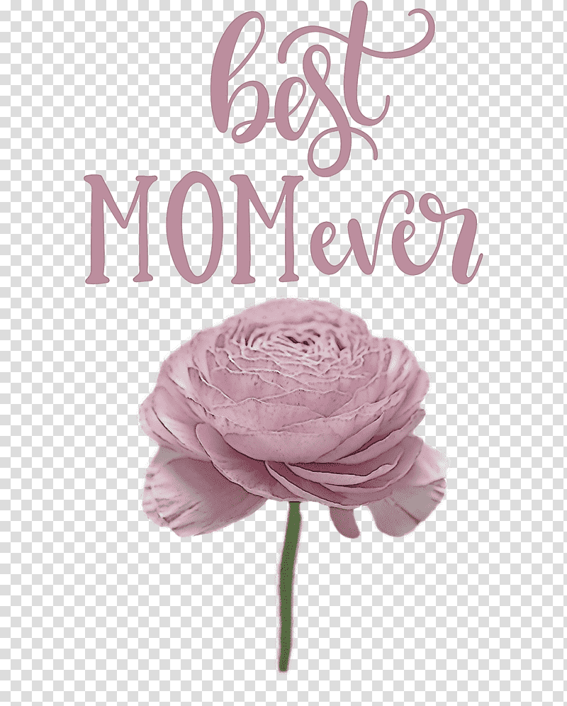 Mothers Day best mom ever Mothers Day Quote, Garden Roses, Floral Design, Lilac M, Cut Flowers, Petal, Rose Family transparent background PNG clipart
