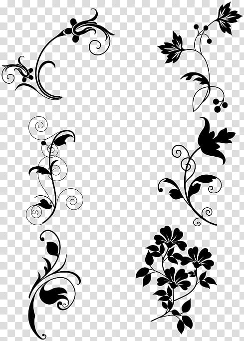 Floral design, Ornament, Pedicel, Blackandwhite, Leaf, Plant, Flower, Branch transparent background PNG clipart