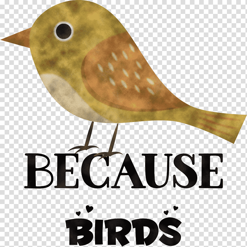Because Birds Bird Animal, Beak, Meter, Quotation, Belief, Biology, Science transparent background PNG clipart