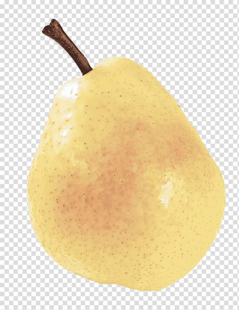 asian pear apple pear apple transparent background PNG clipart