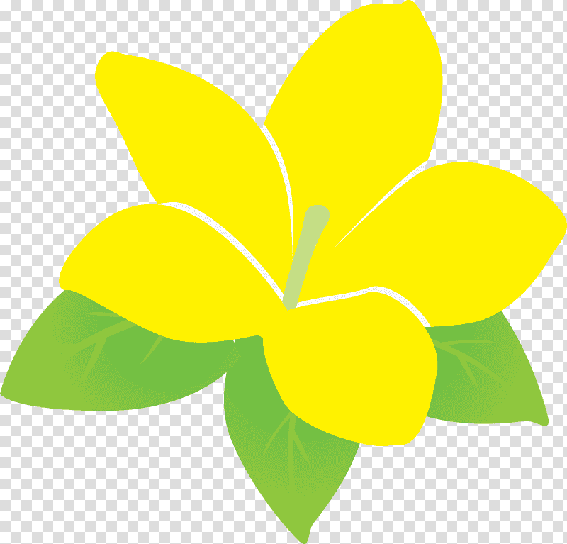 jasmine jasmine flower, Leaf, Plant Stem, Cut Flowers, Petal, Flora, Green transparent background PNG clipart