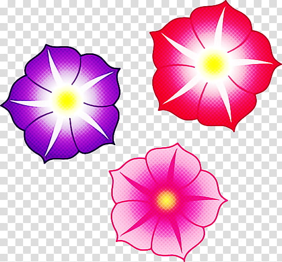 petal flower pink purple violet, Plant, Morning Glory, Magenta, Morning Glory Family transparent background PNG clipart